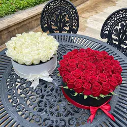 باکس گل 50 شاخه رز قرمز ویدا | سفارش باکس گل بزرگ و شیک رز