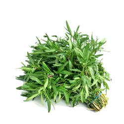 بذر سبزی مرزه بسته 10 گرمی