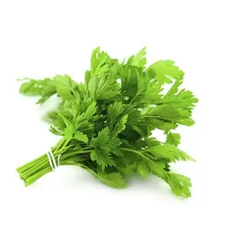 بذر سبزی جعفری