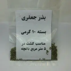 بذر سبزی جعفری