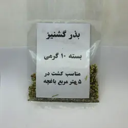 بذر سبزی گشنیز