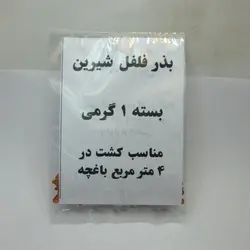 بذر فلفل شیرین قلمی