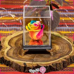 گل رز جاودان طرح فرشته