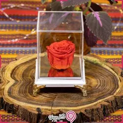 گل رز جاودان طرح فرشته