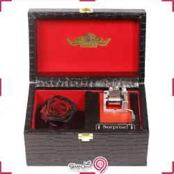 رزجاودان و موزیک باکس طرح سوپرایزی