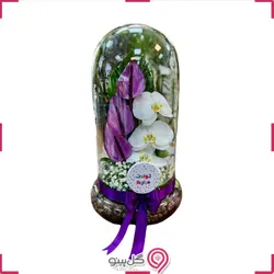 تراریوم مارال