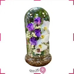 تراریوم نیهان