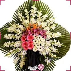 تاج گل شیمن