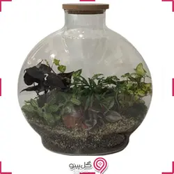 تراریوم سایز بزرگ آنتالیا