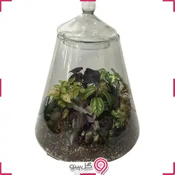 تراریوم هرمی بزرگ