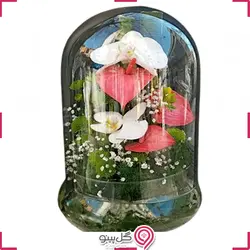 تراریوم ارکیده و آنتوریوم