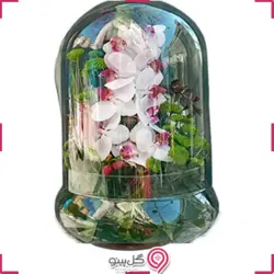 تراریوم ارکیده بزرگ