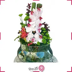 تراریوم ارکیده بزرگ