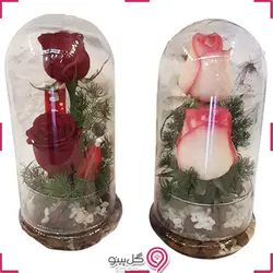 تراریوم رز قرمز و صورتی