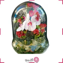 تراریوم ارکیده کوچک