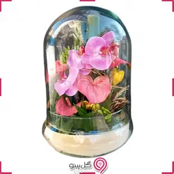 تراریوم ارکیده و آنتوریوم صورتی