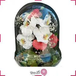 تراریوم ارکیده و آنتوریوم کوچک