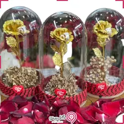 تراریوم رز طلا جاودان کد 110