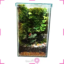 تراریوم جنگلی