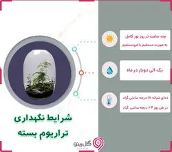 تراریوم جنگلی