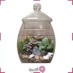 تراریوم باغ صفا