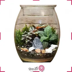 تراریوم باغ صفا