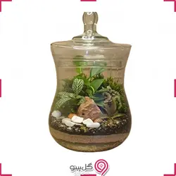 تراریوم گل سنگ