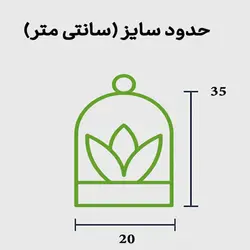 تراریوم بونسای دارک | گلپینو