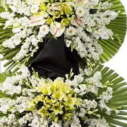 تاج گل روناک