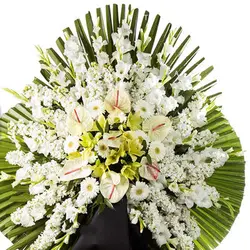 تاج گل روناک