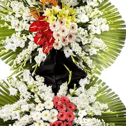 تاج گل صوفیا