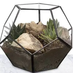 گلدان تراریوم پنج ضلعی | گلپینو