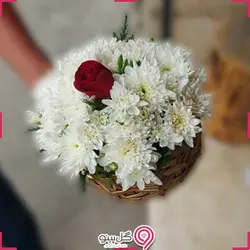 باکس گل هامون