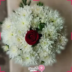 باکس گل هامون