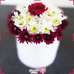 باکس گل هامون