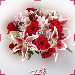 باکس گل جانان