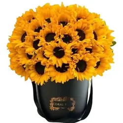 باکس گل ویستا