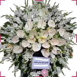 تاج گل مه نگار