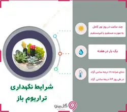 تراریوم سمنزار