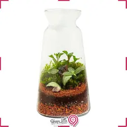 تراریوم خوشنوا