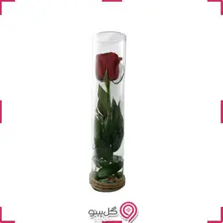 تراریوم گل تناز