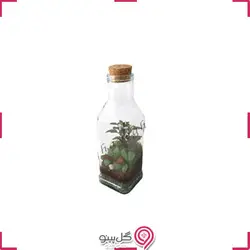 تراریوم جانمهر