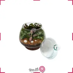 تراریوم چام