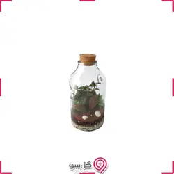 تراریوم جوانه