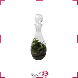 تراریوم چمان