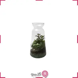 تراریوم چکاوک