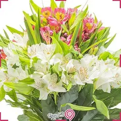 باکس گل ارمغان