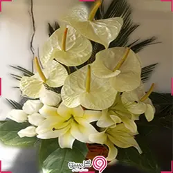 سبد گل فرنیان