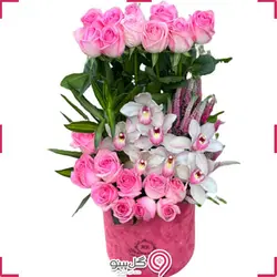 باکس گل نوشی