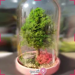 تراریوم آیدک